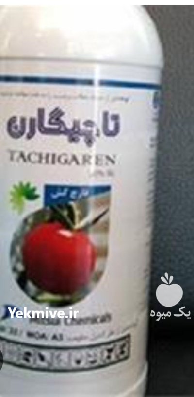 سم قارچ کش تاچیگارن در تبریز در گروه خرید و فروش انواع سم در یکمیوه -عکس1