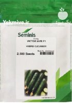 بذر خیار ویکتور در اسلامیه در گروه خرید و فروش بذر خیار در یکمیوه