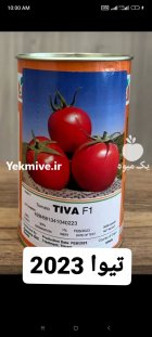 بذر گوجه فرنگی تیوا در شیراز در گروه خرید و فروش بذر گوجه در یکمیوه