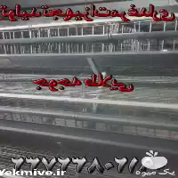 فروش قفس های تمام اتوماتیک مرغداری در تهران در گروه تجهیزات مرغداری در یکمیوه