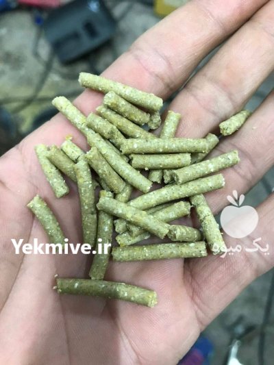 کنسانتره ساز خوراک دام طیور ماهی در رودبار در گروه خوراک دام و طیور در یکمیوه -عکس3