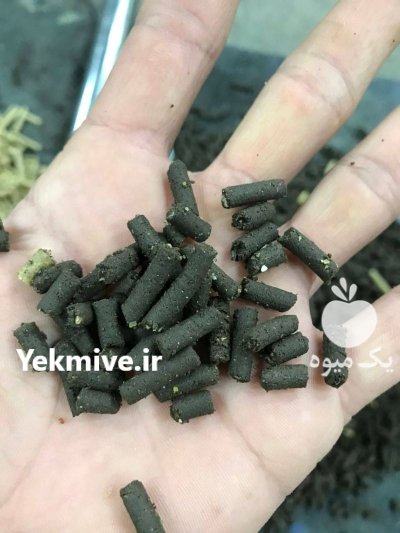 کنسانتره ساز خوراک دام طیور ماهی در رودبار در گروه خوراک دام و طیور در یکمیوه -عکس4