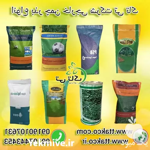 قیمت خرید بذر چمن در همدان در گروه خرید و فروش بذر چمن در یکمیوه -عکس1