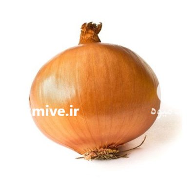 بذر پیاز چلسی انزازادن در اصفهان در گروه خرید و فروش بذر پیاز در یکمیوه -عکس2