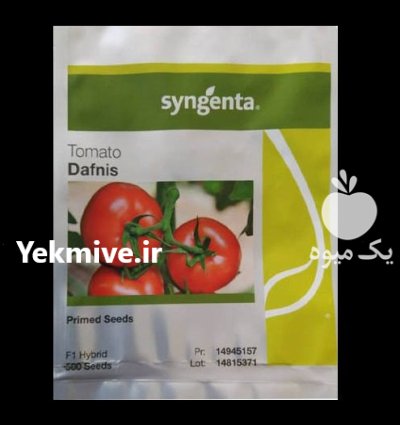 بذر گوجه گلخانه ای دافنیس در اهواز در گروه خرید و فروش بذر گوجه در یکمیوه -عکس1