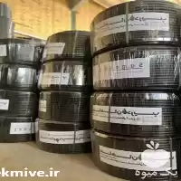 قیمت خرید تولید در تهران در گروه خرید و فروش لوله کشاورزی در یکمیوه