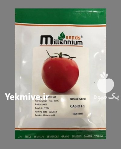 فروش بذر گوجه Casio در اصفهان در گروه خرید و فروش بذر گوجه در یکمیوه -عکس2