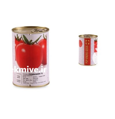 بذر گوجه فرگوسن POP هلند در مشهد در گروه خرید و فروش بذر گوجه در یکمیوه -عکس2