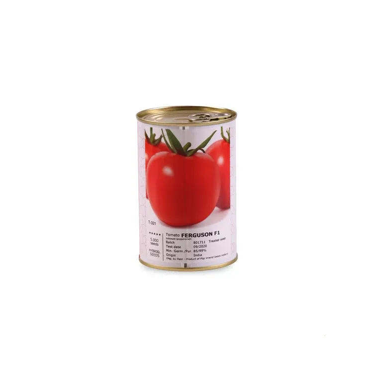 بذر گوجه فرگوسن POP هلند در مشهد در گروه خرید و فروش بذر گوجه در یکمیوه -عکس3