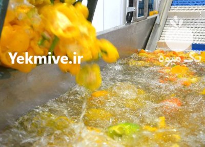 وان شستشوی سبزیجات آسیا ماشین تمیزی در اصفهان در گروه خرید و فروش سبزیجات در یکمیوه -عکس2