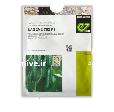 بذر خیار ناگین در بردسکن در گروه خرید و فروش بذر خیار در یکمیوه -عکس1