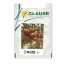 بذر گوجه گلخانه ای اویسیس کلوز در بجستان در گروه خرید و فروش بذر گوجه در یکمیوه