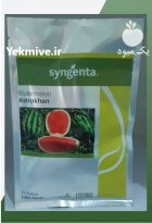 بذر هندوانه Astrakhan سینجنتا در ساری در گروه خرید و فروش بذر هندوانه در یکمیوه