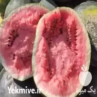 قیمت خرید هندوانه سیاه گرد همه در تهران در گروه خرید و فروش هندوانه در یکمیوه