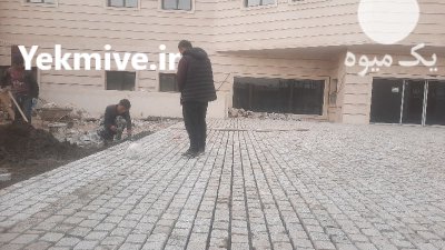 سنگ لاشه شریفی در آبسرد در گروه سازنده در یکمیوه -عکس2