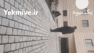 سنگ لاشه شریفی در آبسرد در گروه سازنده در یکمیوه -عکس1