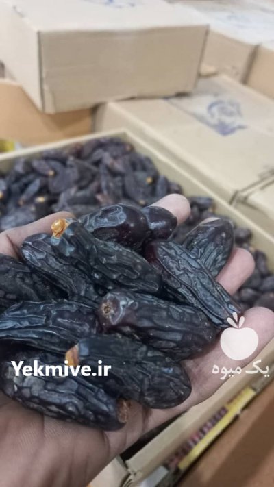 خرید و فروش خرما ربی و مضافتی در زاهدان در گروه خرید و فروش خرما در یکمیوه -عکس3