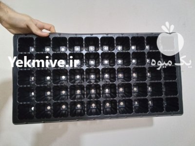 سینی نشا گلخانه 72 حفره در مرزن آباد در گروه خرید و فروش نشا در یکمیوه -عکس1