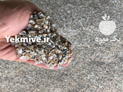صدف دریایی مرغداری پودر شده حرارت دیده ضدعفونی شده در آستارا در گروه خوراک دام و طیور در یکمیوه -عکس2