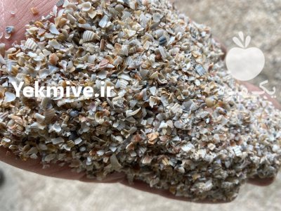 صدف دریایی مرغداری پودر شده حرارت دیده ضدعفونی شده در آستارا در گروه خوراک دام و طیور در یکمیوه -عکس1