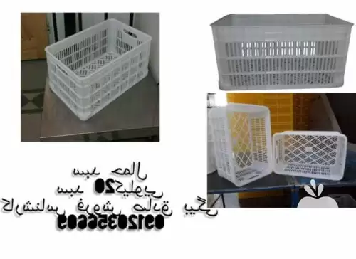 فروش سبد کشمشی در تاکستان در گروه خرید و فروش انواع سبد در یکمیوه -عکس1