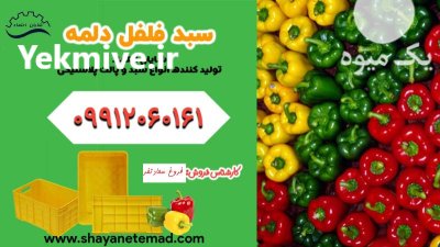 فروش سبد گلخانه در اصفهان سبد در گروه خرید و فروش انواع سبد در یکمیوه -عکس1