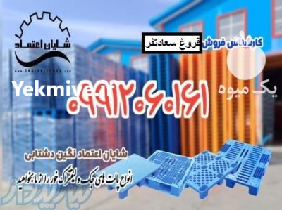 فروش پالت پلاستیکی 18 کیلویی در قزوین در گروه خرید و فروش پالت در یکمیوه -عکس1