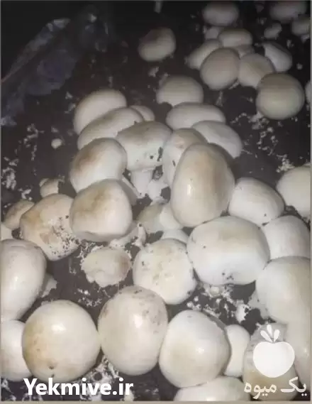 قیمت خرید کمپوشت آماده قارچ دکمه در اهواز در گروه خرید و فروش قارچ در یکمیوه -عکس1