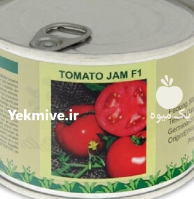 “بذر گوجه جم Jam F 1 ” در بجنورد در گروه خرید و فروش بذر گوجه در یکمیوه -عکس1