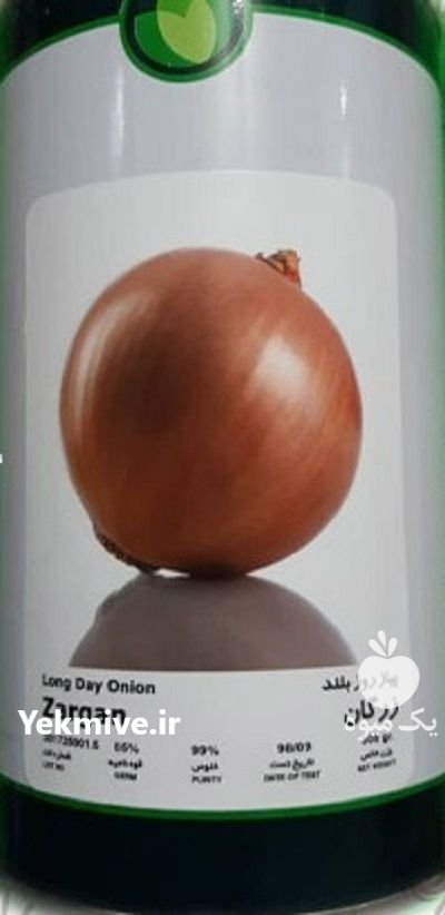 بذر پیاز زرگان فلات در امام شهر در گروه خرید و فروش بذر پیاز در یکمیوه -عکس1