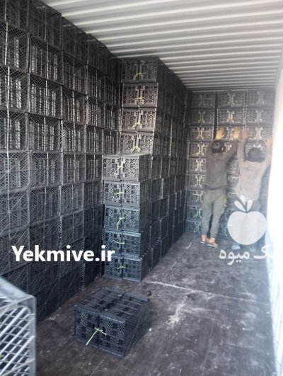 سبد 14 کیلوی وزن 450 گرم در جنت شهر در گروه خرید و فروش انواع سبد در یکمیوه -عکس2