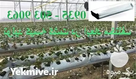 فروش تولید تخصصی کیسه های بستر در تهران در گروه خرید و فروش بسته بندی نایلونی در یکمیوه -عکس1