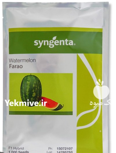 بذر هندوانه فارائو در جهرم در گروه خرید و فروش بذر هندوانه در یکمیوه -عکس1