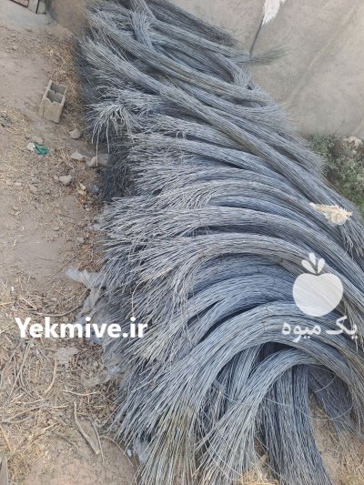 مفتول کشاورزی در سنندج در گروه خرید و فروش انواع تجهیزات کشاورزی در یکمیوه -عکس2