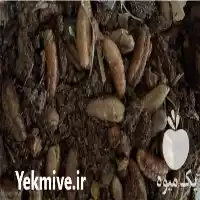قیمت خرید هسته خرما در مشهد در گروه خوراک دام و طیور در یکمیوه
