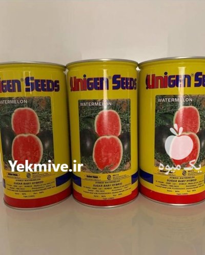 بذر هندوانه استاندارد خطی یونیژن در دهدشت در گروه خرید و فروش بذر هندوانه در یکمیوه -عکس1
