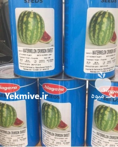بذر هندوانه استاندارد خطی نیاگارا در پره سر در گروه خرید و فروش بذر هندوانه در یکمیوه -عکس1