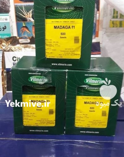 فروش بذر هندوانه ماداگا در چالانچولان در گروه خرید و فروش بذر هندوانه در یکمیوه -عکس1
