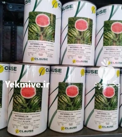 فروش بذر هندوانه کلوز در خمین در گروه خرید و فروش بذر هندوانه در یکمیوه -عکس1