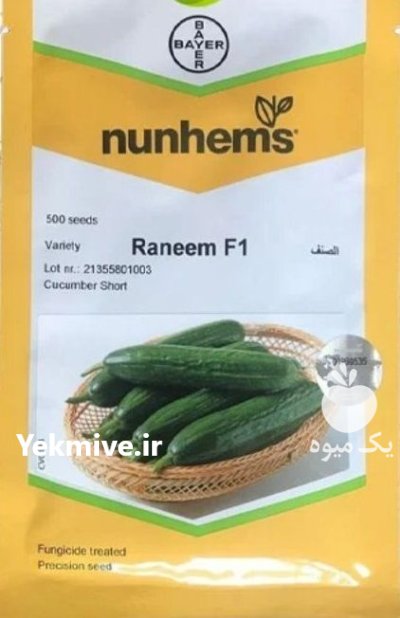 بذر خیار گلخانه ای رانیم در حصارگرمخان در گروه خرید و فروش بذر خیار در یکمیوه -عکس1