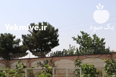 محافظت از باغ و مزارع شما در چهارباغ در گروه خرید و فروش فنس در یکمیوه -عکس1