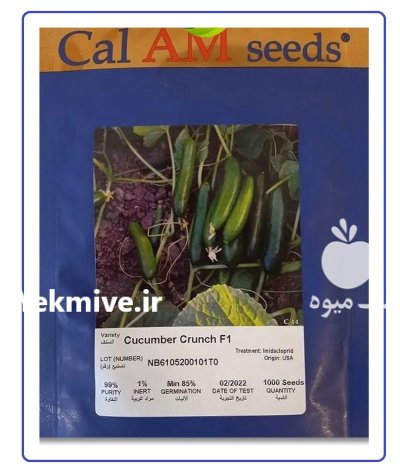 بذر خیار کرانچ در ایلام در گروه خرید و فروش بذر خیار در یکمیوه -عکس1