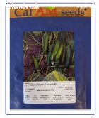 بذر خیار کرانچ در ایلام در گروه خرید و فروش بذر خیار در یکمیوه