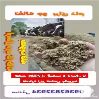 قیمت خرید تفاله جو بصورت فله در تهران در گروه خوراک دام و طیور در یکمیوه