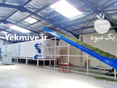 تولید پیاز خشک اسلایسی در اصفهان در گروه خشک کن در یکمیوه -عکس4