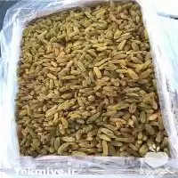 قیمت خرید کشمش سبز و زرد در اهواز در گروه خرید و فروش آجیل در یکمیوه