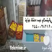 فروش سبد میوه در ساری در گروه خرید و فروش انواع سبد در یکمیوه