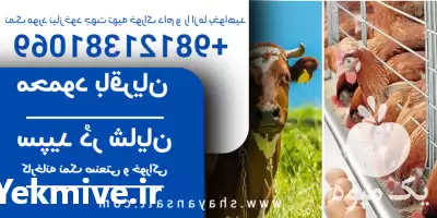 قیمت خرید نمک دام و طیور سنگ در سمنان در گروه خوراک دام و طیور در یکمیوه -عکس1