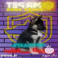 فروش ژرمن شپرد سلطان سگهای کاری در کرج در گروه سگ و گربه در یکمیوه