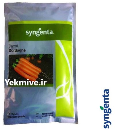 بذر هویج دوردگن در خلخال در گروه خرید و فروش بذر هویج در یکمیوه -عکس1